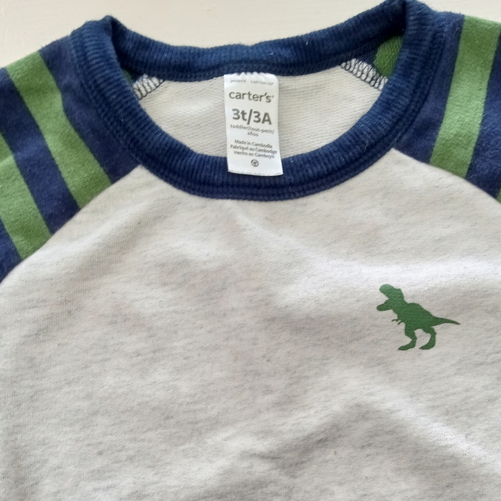 💫Carter's Baby Boy Striped Dinosaur Sweatshirt - Green and Blue - Picture 5 of 13